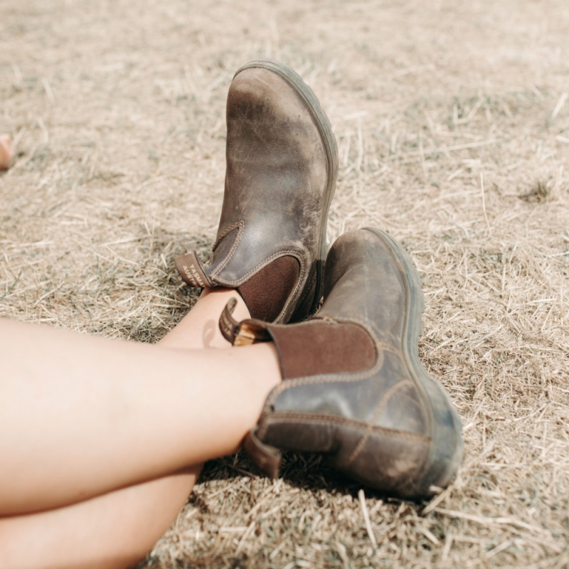 Blundstone 585 Brown