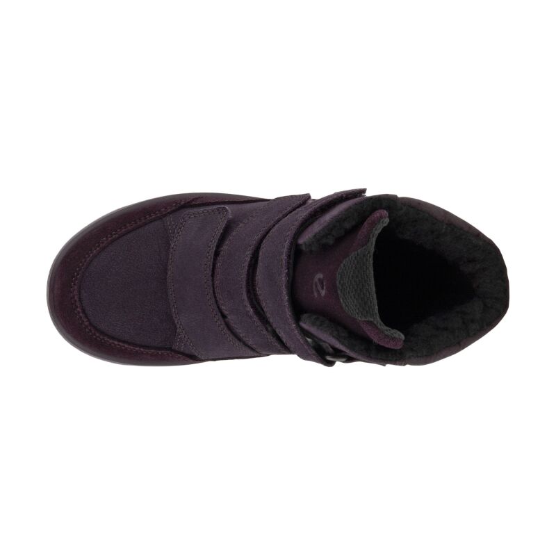 ECCO Urban Snowboarder Kid's 722332 Fig/Fig/Fig