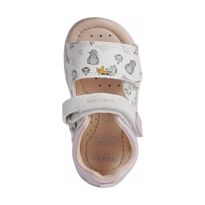 GEOX Tapuz Shoes B150YD000BCC White