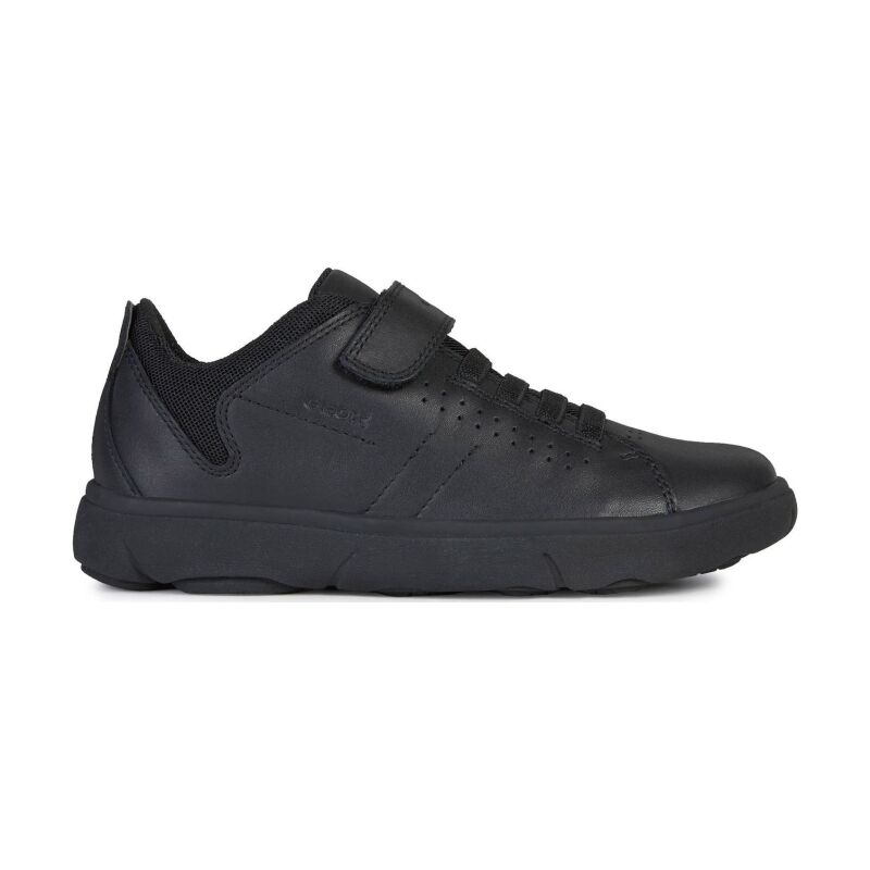 GEOX Nebcup Shoes J02AZB04314C Black