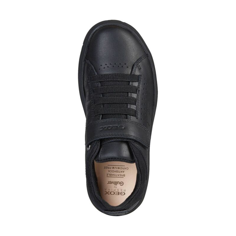 GEOX Nebcup Shoes J02AZB04314C Black