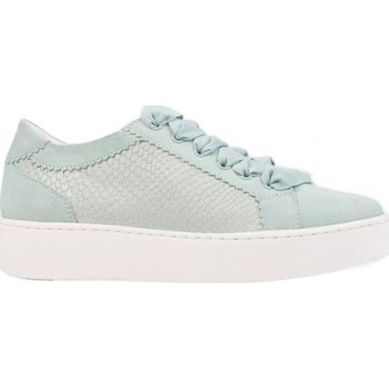 GEOX Skyely Shoes D25QXC04121C Green