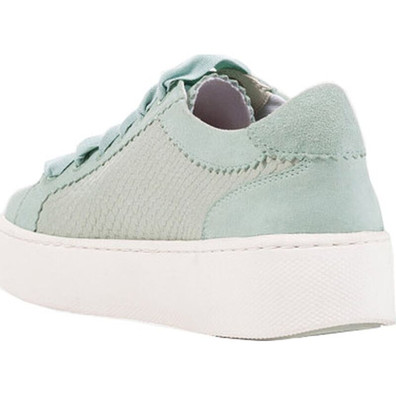 GEOX Skyely Shoes D25QXC04121C Green