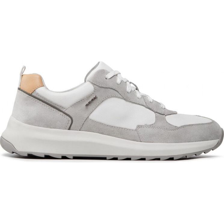 GEOX Titanio Shoes U25E4A02285C Grey