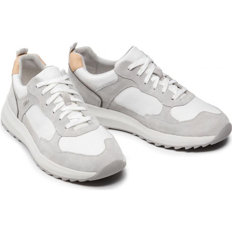 GEOX Titanio Shoes U25E4A02285C Grey