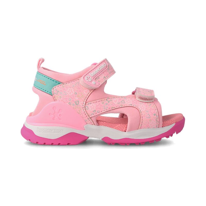 BIOMECANICS 232273 Rosa