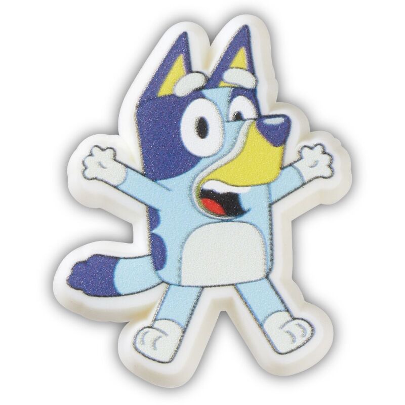 Crocs™ Jibbitz Bluey 196265891375 