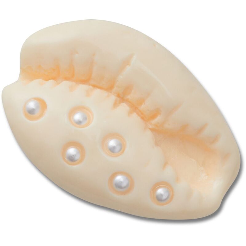 Crocs™ Jibbitz Pearl Puka Shell 198445175015 