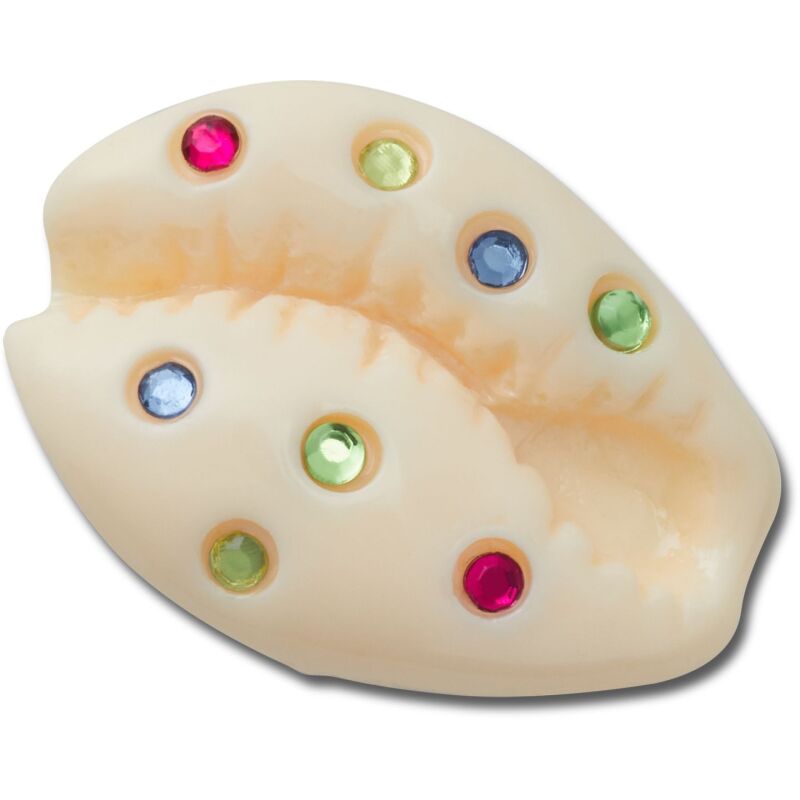 Crocs™ Jibbitz Gem Puka Shell 198445175022