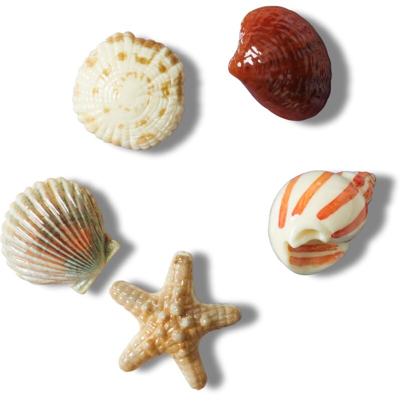 Crocs™ Jibbitz She Sells Seashells 5 Pack 198445127809 