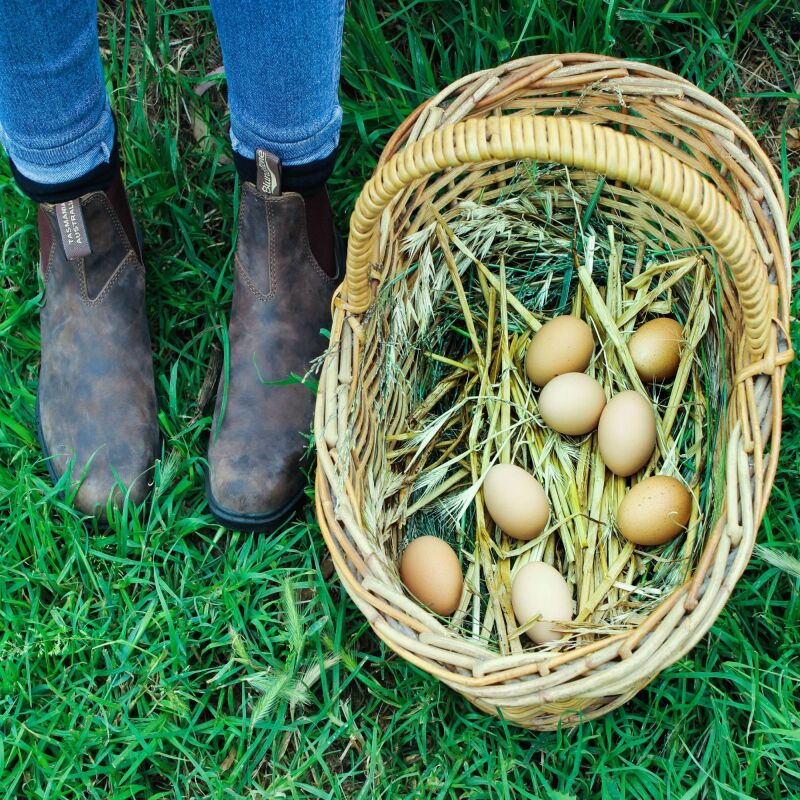 Blundstone 1306 Rustic Brown