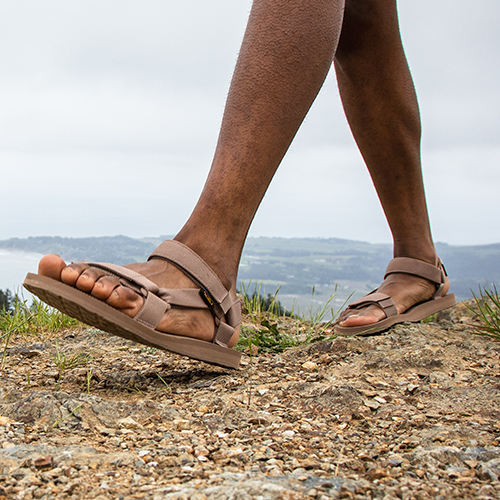 Teva