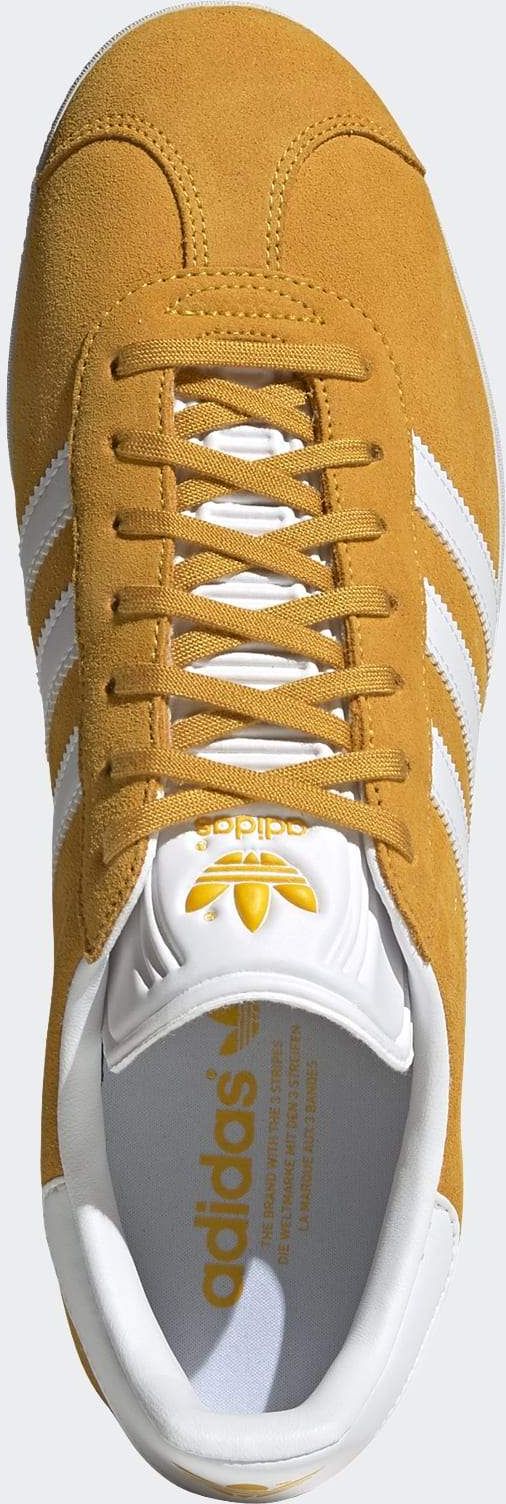 Group of Business People Applauding Co-Worker, Stock Photo, Picture And  Rights Managed Image. Pic. FLI-FX5497 | agefotostock