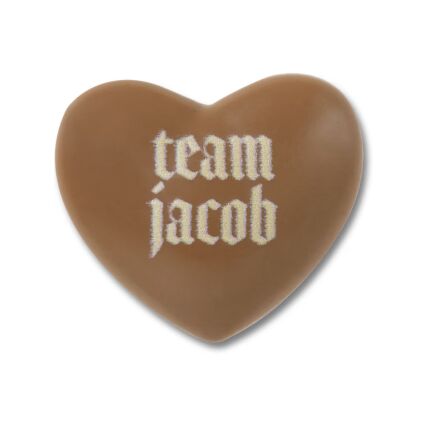 Crocs™ Jibbitz Twilight Team Jacob 