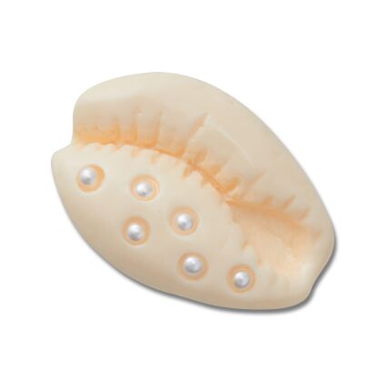 Crocs™ Jibbitz Pearl Puka Shell 198445175015 