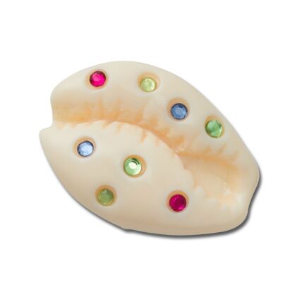 Crocs™ Jibbitz Gem Puka Shell 198445175022 