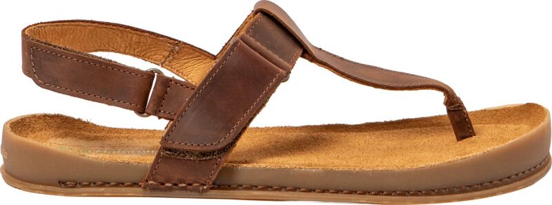 El Naturalista Horizon N6004 Arizona Terra